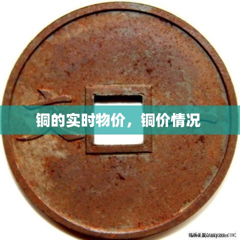 第1144页