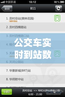 第1141页