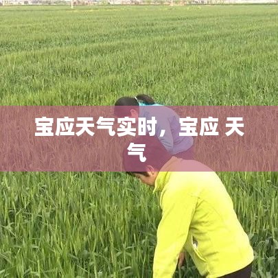 宝应天气实时，宝应 天气 