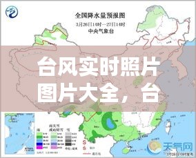 第1138页