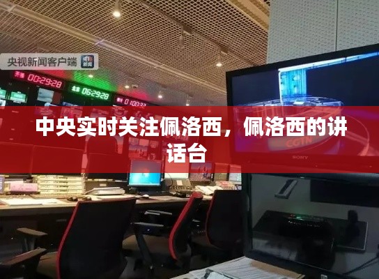 采椽不斫 第3页