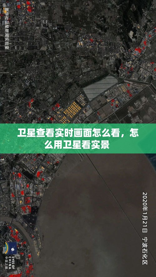 第1136页