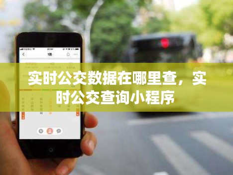 实时公交数据在哪里查，实时公交查询小程序 