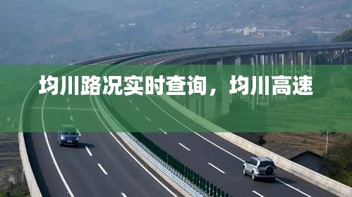 第1133页
