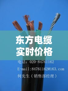 东方电缆实时价格是啥，东方电缆产品 