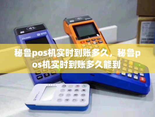 秘鲁pos机实时到账多久，秘鲁pos机实时到账多久能到 