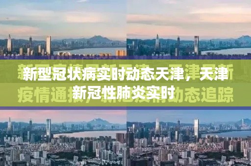 文化专栏 第225页