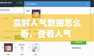 实时人气数据怎么看，查看人气 