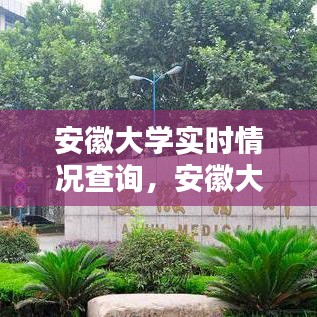 安徽大学实时情况查询，安徽大学官网查询 