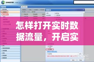 怎样打开实时数据流量，开启实时数据 