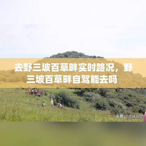 关于我们 第225页
