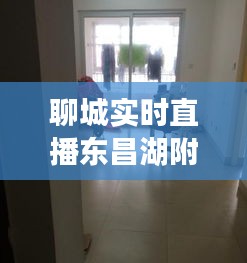 关于我们 第224页