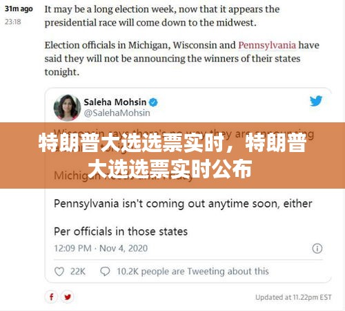 特朗普大选选票实时，特朗普大选选票实时公布 