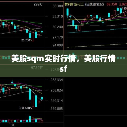 文化专栏 第217页