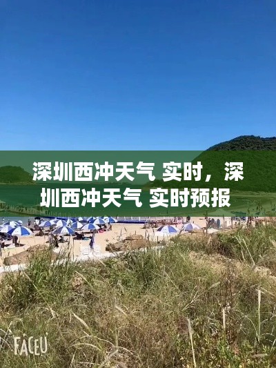 产品中心 第217页