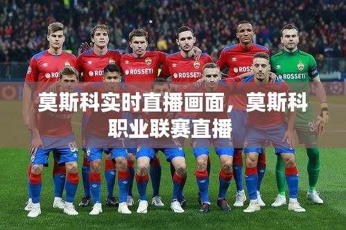 莫斯科实时直播画面，莫斯科职业联赛直播 