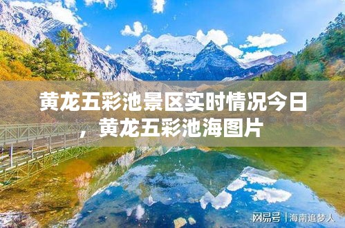 束手就擒 第2页