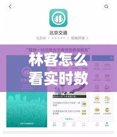 林客怎么看实时数据，北京林客互动是真是假 