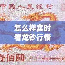 怎么样实时看龙钞行情走势，龙钞的真假鉴别 