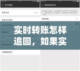 实时转账怎样追回，如果实时转账怎么退回 