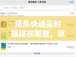 京东快递实时跟踪在哪查，京东快递实时轨迹 
