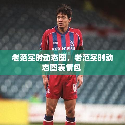老范实时动态图，老范实时动态图表情包 