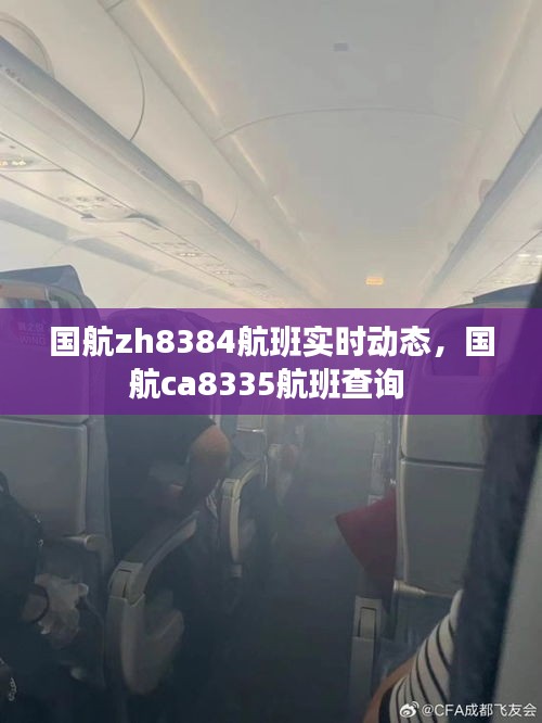 国航zh8384航班实时动态，国航ca8335航班查询 