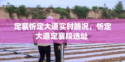 定襄忻定大道实时路况，忻定大道定襄段选址 