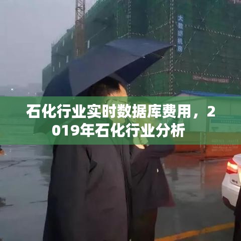 石化行业实时数据库费用，2019年石化行业分析 