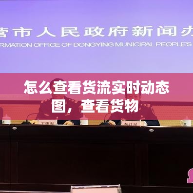怎么查看货流实时动态图，查看货物 