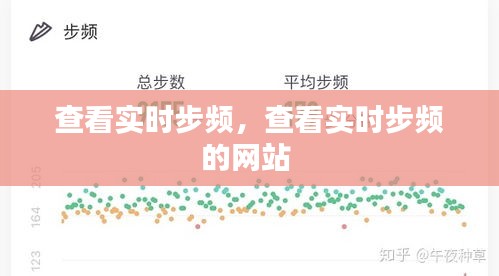 查看实时步频，查看实时步频的网站 