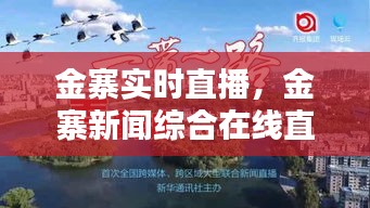 金寨实时直播，金寨新闻综合在线直播 