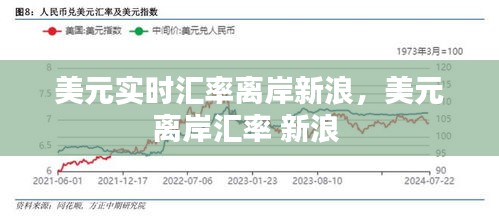 美元实时汇率离岸新浪，美元离岸汇率 新浪 