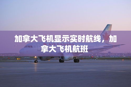 加拿大飞机显示实时航线，加拿大飞机航班 