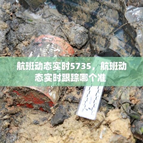 航班动态实时5735，航班动态实时跟踪哪个准 