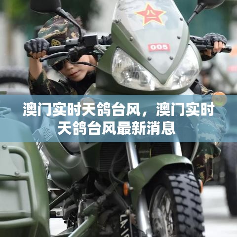 勤勤恳恳 第2页