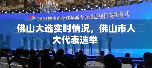 佛山大选实时情况，佛山市人大代表选举 