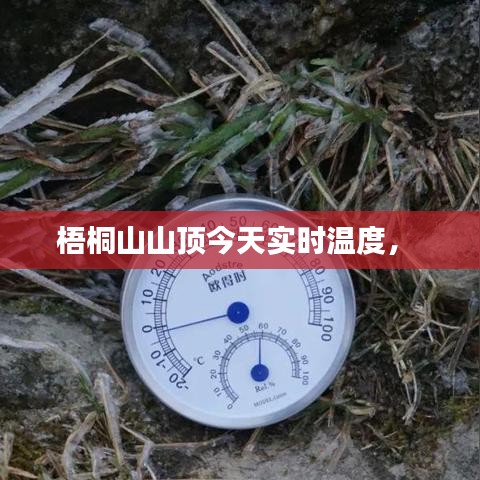 梧桐山山顶今天实时温度， 