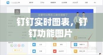 钉钉实时图表，钉钉功能图片 