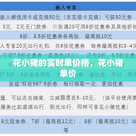 花小猪的实时单价格，花小猪 单价 