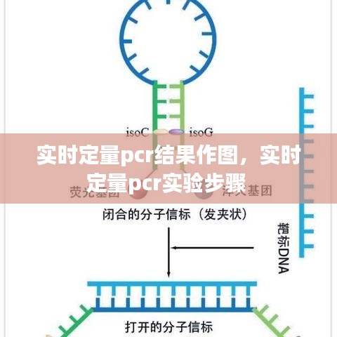 刚毅木讷 第2页