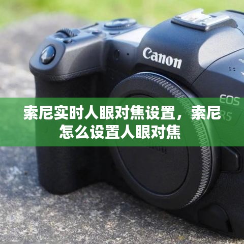 春蛙秋蝉 第2页