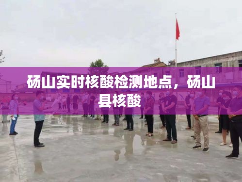 砀山实时核酸检测地点，砀山县核酸 