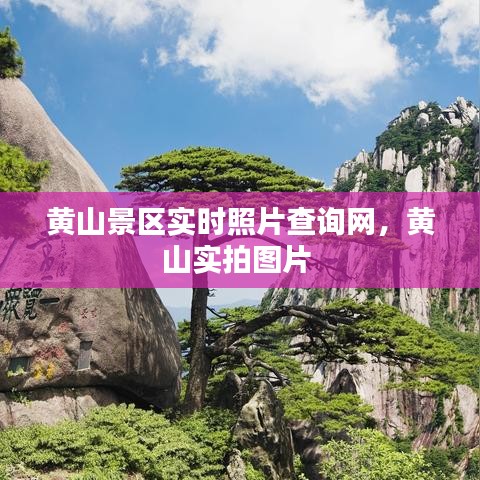 张冠李戴 第2页