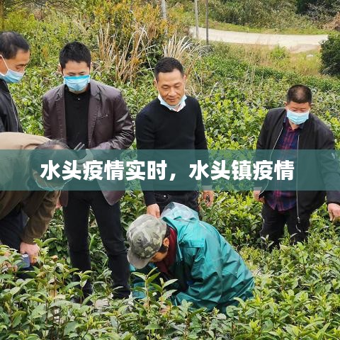 水头疫情实时，水头镇疫情 