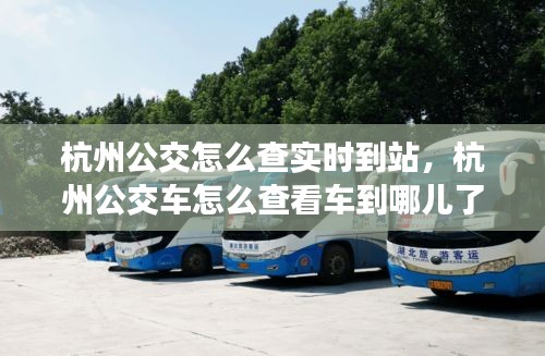张飞穿针 第2页
