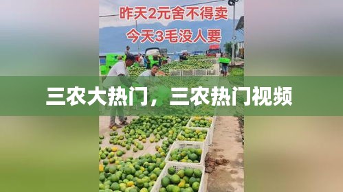 井蛙之见 第2页