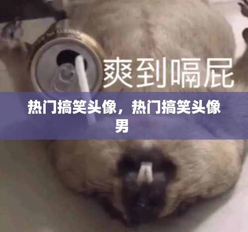 热门搞笑头像，热门搞笑头像男 