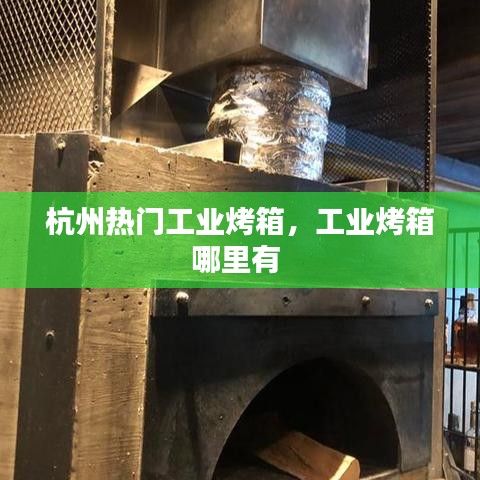 杭州热门工业烤箱，工业烤箱哪里有 