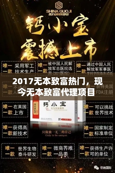 越鸟南栖 第2页